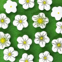 Murrini Aardbeienbloem (per stuk)