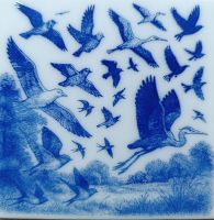 Vogels 1 - 10x10 cm